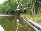 The small corner of the swimming pool